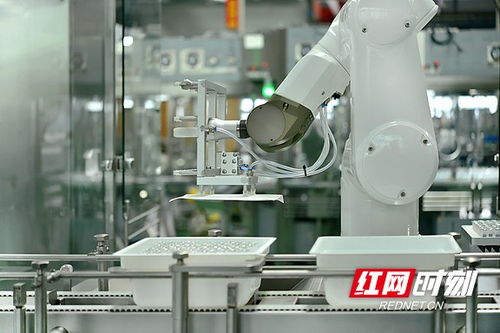 搶占智高點 智能制造驅動寧鄉經開區高質量發展，智能機器人研發成引擎