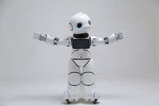 搶錢時機 國家重拳出擊，撥6億推動智能機器人市場研發騰飛