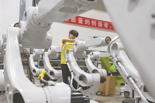 融合產業與科創，推動智能機器人產業集群發展