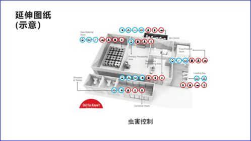 優(yōu)化食品衛(wèi)生管理 從規(guī)劃到執(zhí)行的系統(tǒng)性設(shè)計(jì)